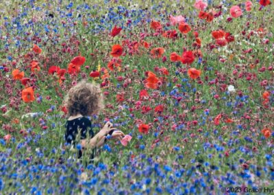THE ANNUAL COMPETITION - THE JOHN APPS TROPHY GRACE HYND “GIRL IMMERSED IN THE BEAUTY OF flowers”