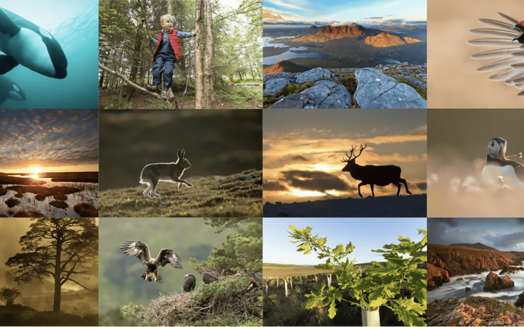 Array of images from Scotland:The Big Picture
