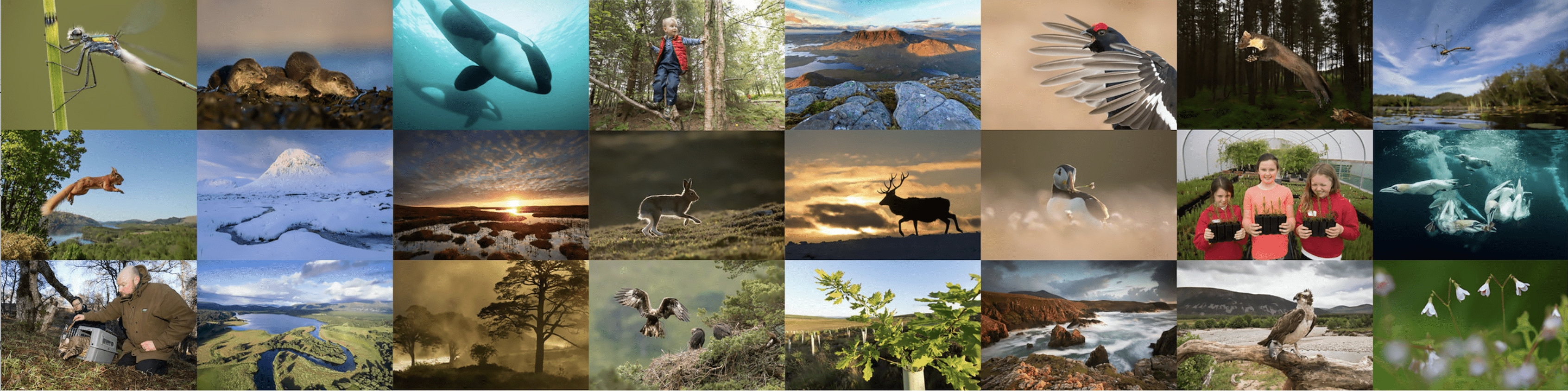 Array of images from Scotland:The Big Picture