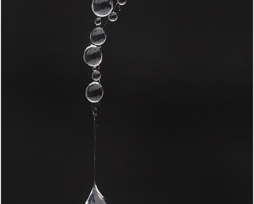 ANNUAL COMPETITION - THE COLOUR TROPHY ELAINE DOWDING “DROPLETS ON A TORN WEB”
