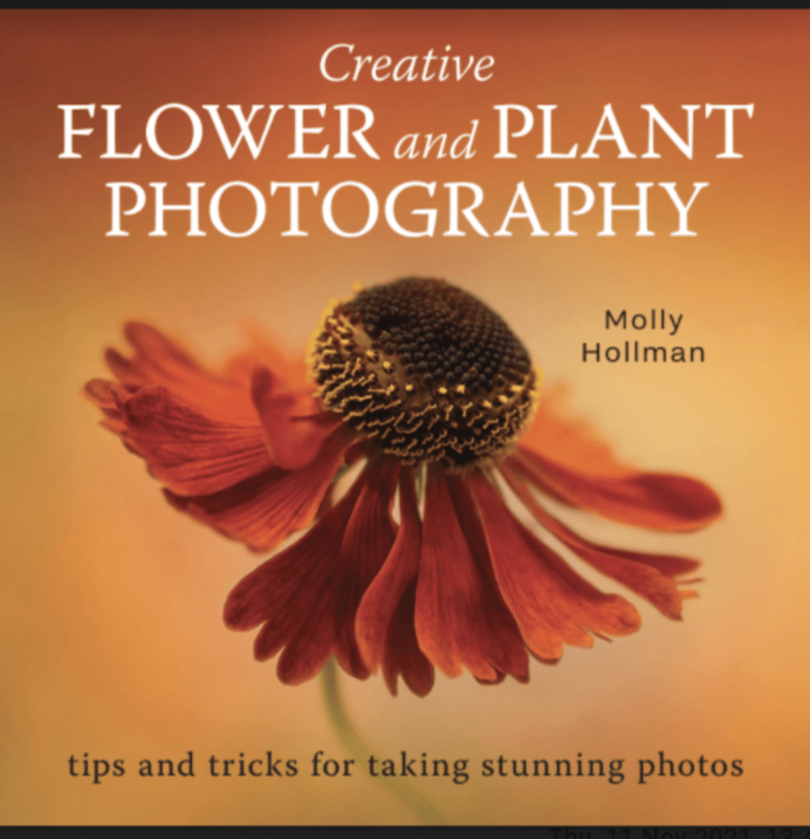 Creative Flower Photography