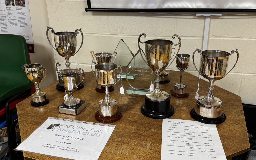 Trophy Awards, and the AGM
