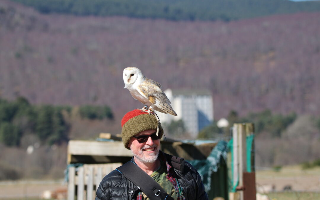Light painting, and falconry