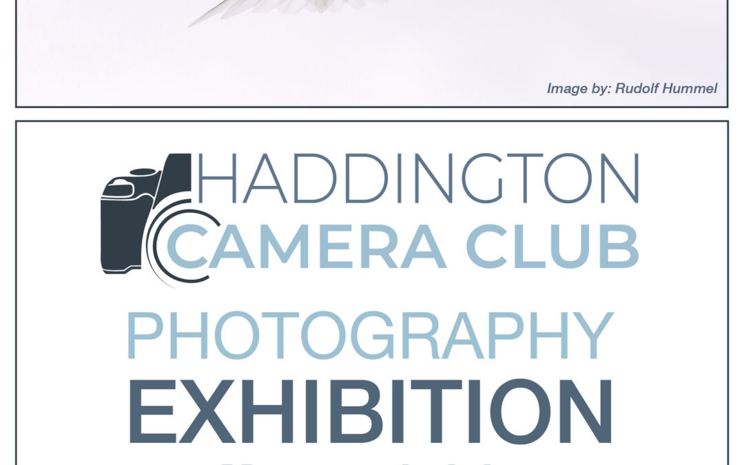 COMING UP ! EXHIBITION 2025