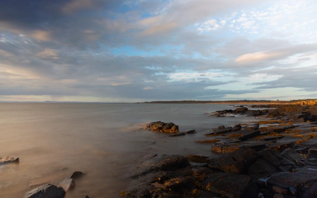 Longniddry – No chips