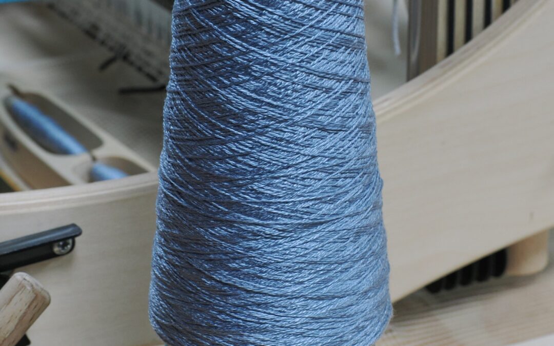 Members’ Evening — Macro, Still Life and a Visit to the Weaving Room — 8 September 2026